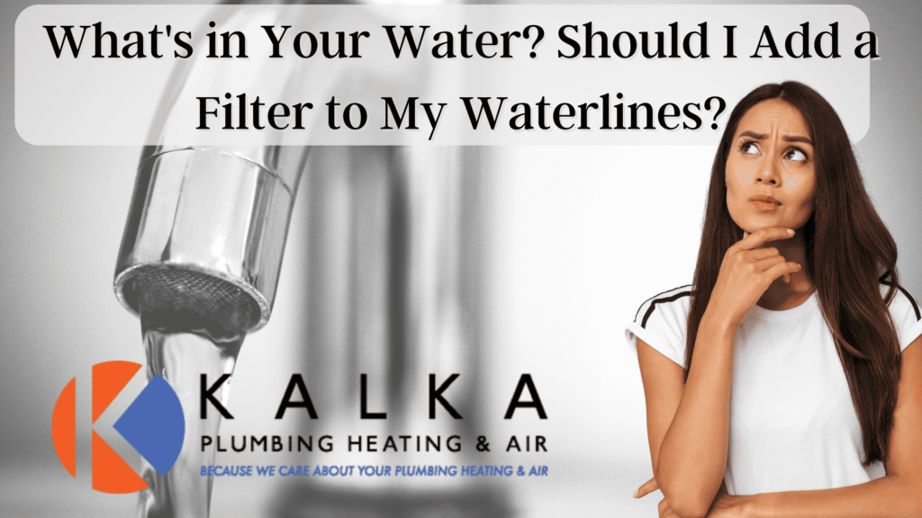 What's In Your Water? Should I Add a Filter to My Waterlines?